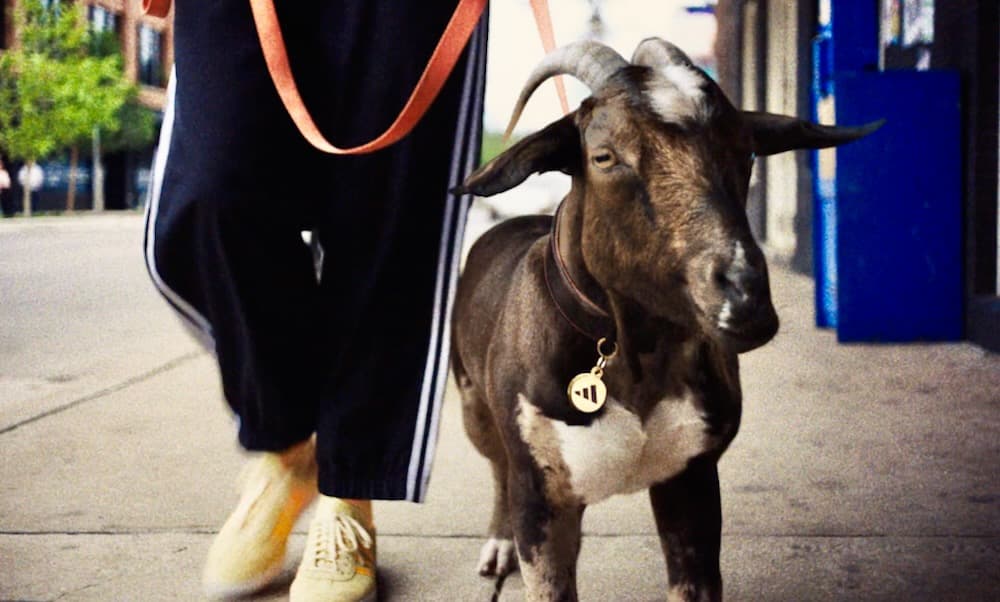 ADIDAS – GOATDOG